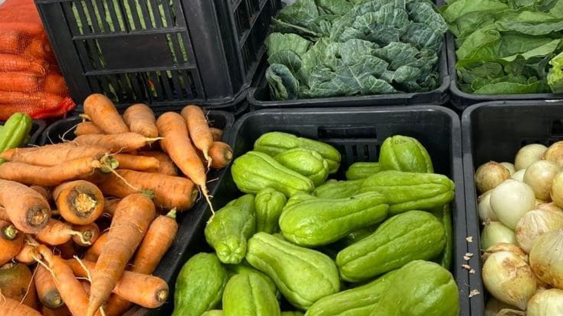 Dourados lança edital para compra de alimentos da agricultura familiar destinados à merenda escolar